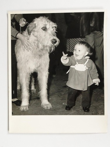 Toddler neil sugden irish - toddler,