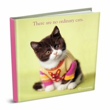 No Ordinary Cats: 1 (Rachael