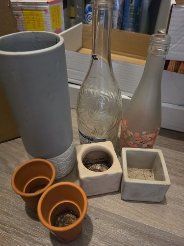 Mixed selection plant - mixed,