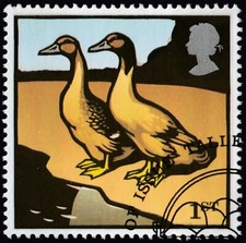 Khaki Campbell Ducks illustrated on 2005 fine used GB stamp 