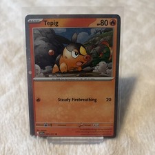 Pokémon tcg tepig 029 217 - pokémon, 029/217