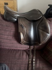 Ava All Saddle Solutions flair