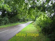 Photo 6x4 Priory Lane Copt Oak  c2006