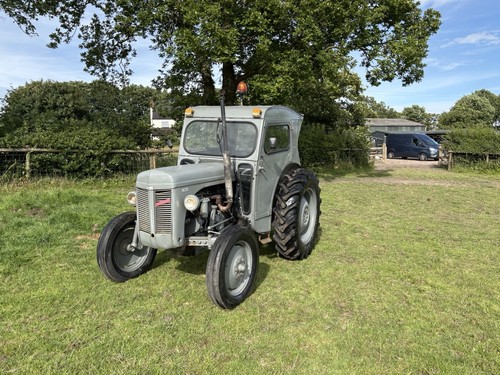 Grey ferguson tractor diesel - grey,