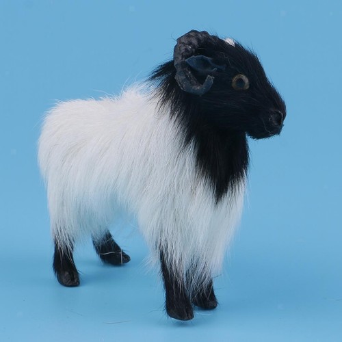 Sheep jumbuck goat statue - sheep,