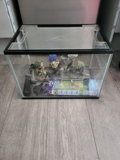 Aquaruim Starter Kit