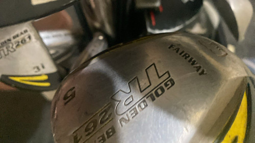 Golden bear 267 - golden,