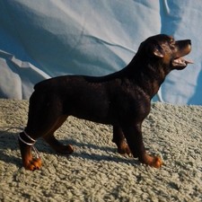 CollectA Adult male Rottweiler