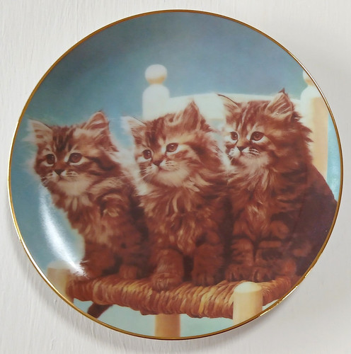 Cat wall plate purrfect - cat,