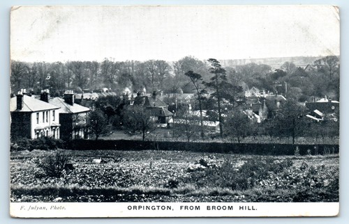 Postcard orpington broom - postcard,