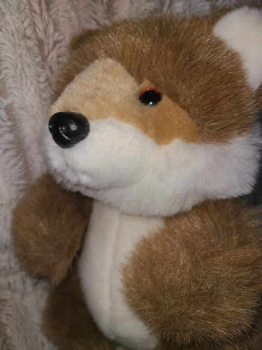 Fox soft toy - soft,