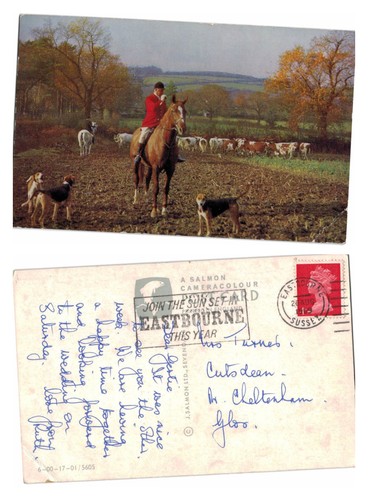 Vintage postcard fox - postcard,