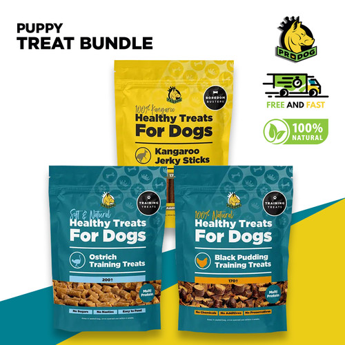 Healthy natural puppy dog - healthy,