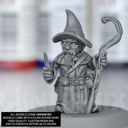 Gnome wizard mage fantasy - wizard,