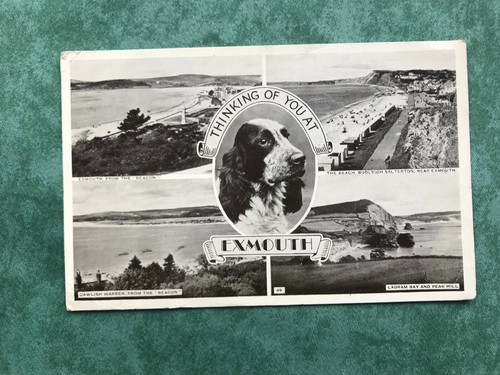Vintage postcard thinking of - vintage,
