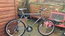 Raleigh activator Retro Bike
