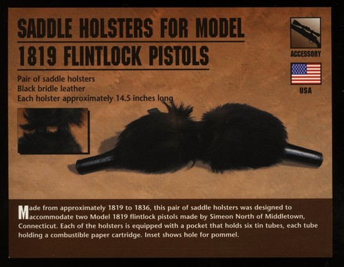 Saddle holsters for model 1819 - saddle,