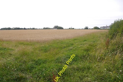 Photo 6x4 barley letham mains - 6x4,