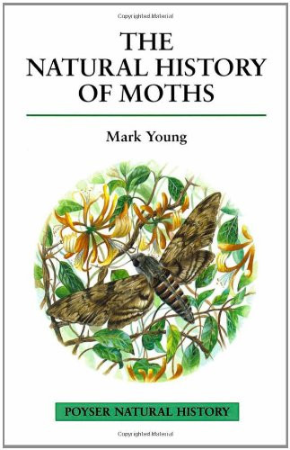 The natural history moths - history, of