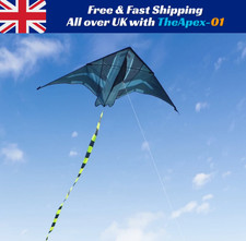 2M Large Delta Kite for