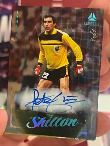 Panini luminance peter - luminance, shilton