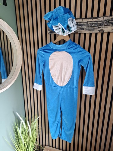 Sonic the hedgehog dressing - , up