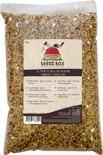 Budgie food seed - budgie, feed