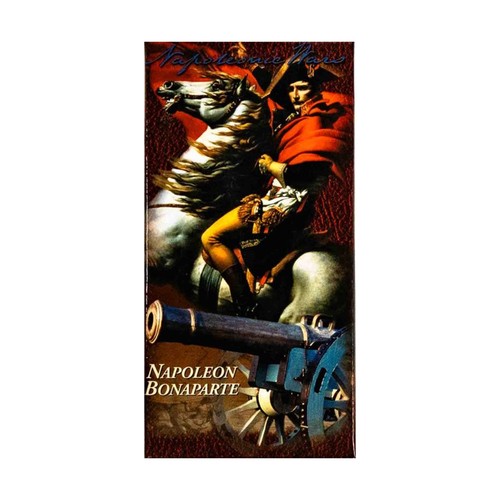 Britain napoleonic minis - w,