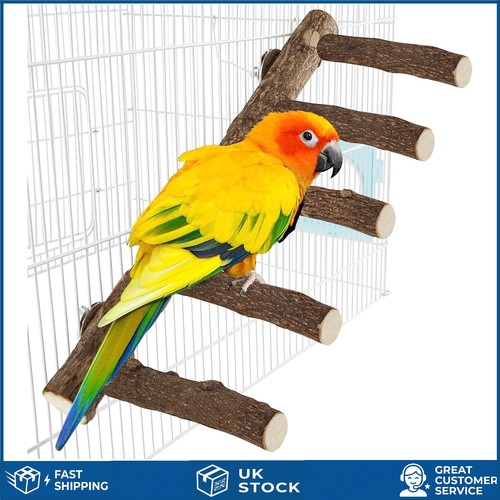 Natural wood bird - bird, cage
