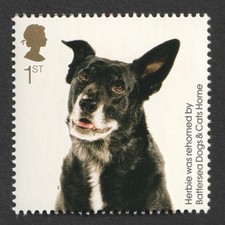 2010 GB 1st Mongrel. Battersea Dogs and Cats Home. SG 3038