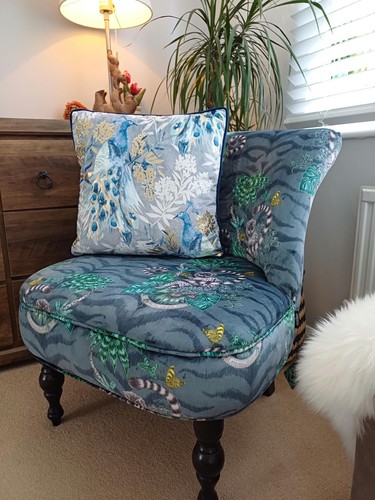Emma shipley blue lemur - shipley,