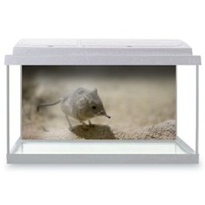 Fish Tank Background 90x45cm -