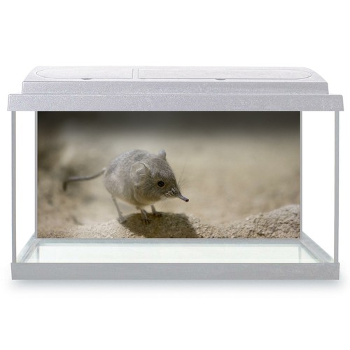 Fish tank background 90x45cm - tank,