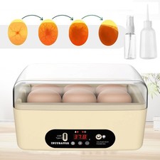 Chicken egg incubator - chicken, poultry