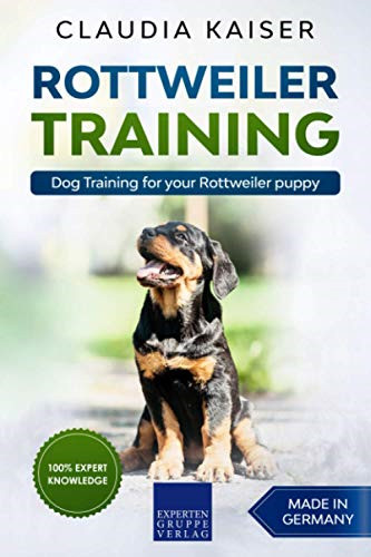 Rottweiler training dog - training:,