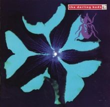 Crawdaddy by Darling Buds | CD