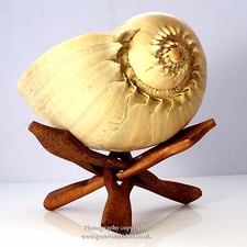 Wooden tripod display stand