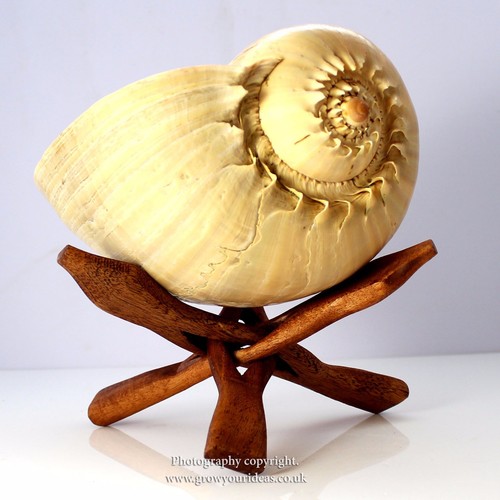 Wooden tripod display - , stand