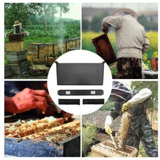  Bee Insect Drinking Cup