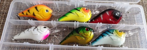 Pack fat albert deep - 6,
