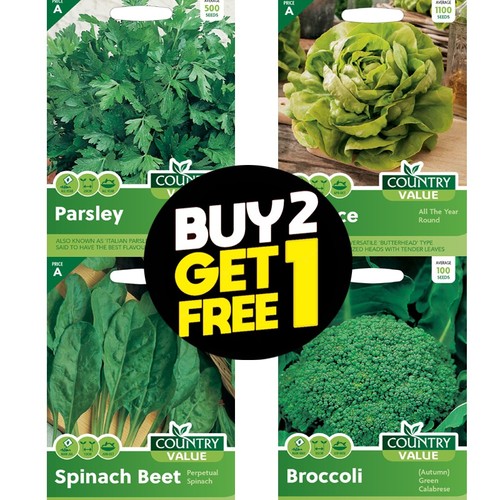 Vegetable seeds dill sage - dill,