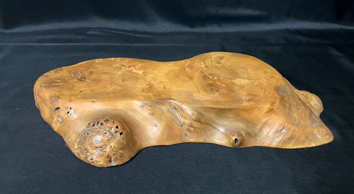 Japanese burl wood - burl, display