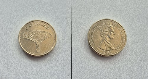 Gibraltar one pound - coin, ~