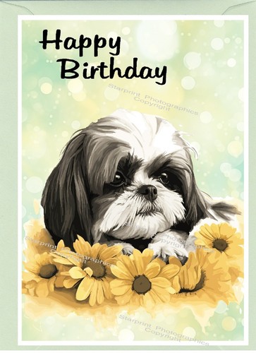 Shih tzu dog birthday card - tzu,