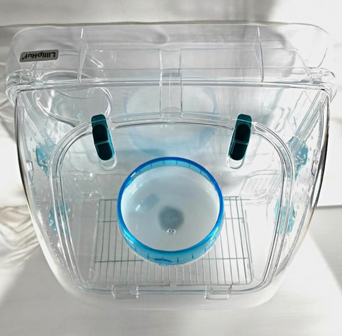 Lilliphut clear blue plastic - clear,