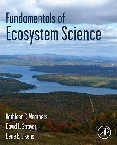 Fundamentals ecosystem - fundamentals, of
