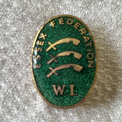 Vintage enamel badge essex - enamel,
