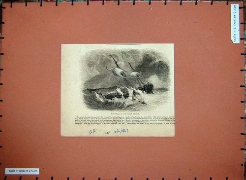 Original old antique print - old,