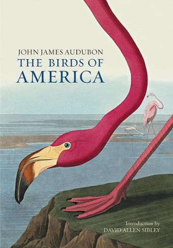 The birds america - of, john