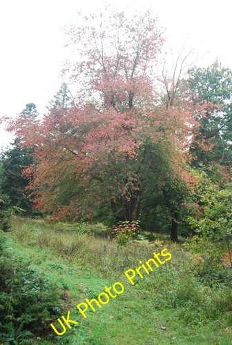 Photo 6x4 autumn colour - autumn,